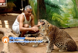 ေျမကြက္ အျမန္ ေရာင္းမည္