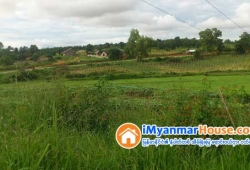 ေျမကြက္ အျမန္ ေရာင္းမည္