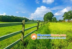 ေျမကြက္ အျမန္ ေရာင္းမည္