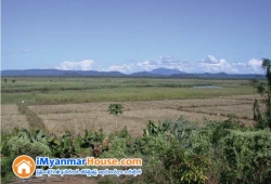 ေျမကြက္ အျမန္ ေရာင္းမည္