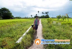 ေျမကြက္ အျမန္ ေရာင္းမည္