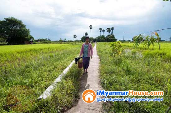 ရန္ကုန္ၿမိဳ႕သစ္စီမံကိန္းတြင္ ပါ၀င္မည့္ လယ္ယာေျမစာရင္းကို ေကာက္ယူ - Property News in Myanmar from iMyanmarHouse.com