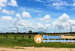 ေျမကြက္ အျမန္ ေရာင္းမည္