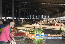 ေျမကြက္ အျမန္ ေရာင္းမည္