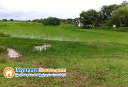ေျမကြက္ အျမန္ ေရာင္းမည္
