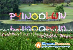 ေျမကြက္ အျမန္ ေရာင္းမည္