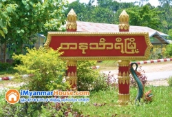 ေျမကြက္ အျမန္ ေရာင္းမည္