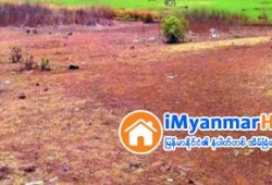 ေျမကြက္ အျမန္ ေရာင္းမည္