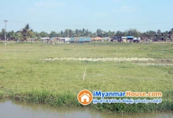 ေျမကြက္ အျမန္ ေရာင္းမည္