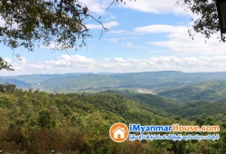 ေျမကြက္ အျမန္ ေရာင္းမည္