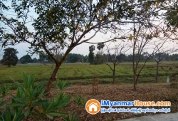 ေျမကြက္ အျမန္ ေရာင္းမည္