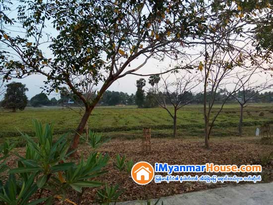 ႏုိင္ငံေတာ္စီမံကိန္းမ်ားအတြက္ ေျမသိမ္းရန္လိုလွ်င္ တရားမွ်တစြာ ေဆာင္ရြက္ႏိုင္ရန္ ေျမသိမ္းဥပေဒကို အမ်ိဳးသားလႊတ္ေတာ္သို႔တင္သြင္း - Property News in Myanmar from iMyanmarHouse.com