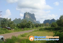 ေျမကြက္ အျမန္ ေရာင္းမည္