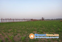 ေျမကြက္ အျမန္ ေရာင္းမည္