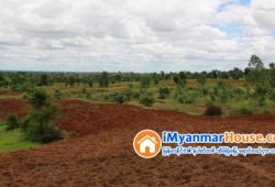 ေျမကြက္ အျမန္ ေရာင္းမည္