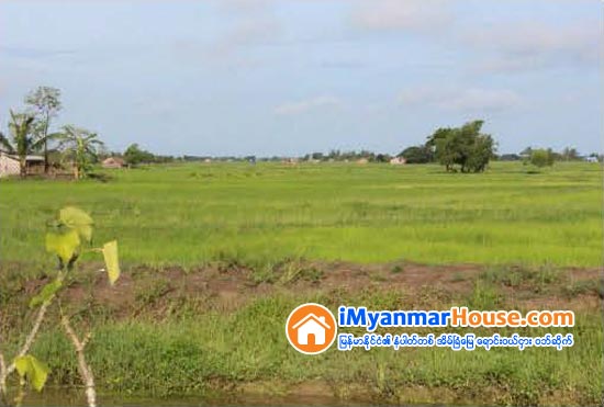 ရန္ကုန္တိုင္းရွိ ေျမယာမႈခင္းမ်ားကို နည္းပညာသံုး၍ စိစစ္ေျဖရွင္းမည္ - Property News in Myanmar from iMyanmarHouse.com