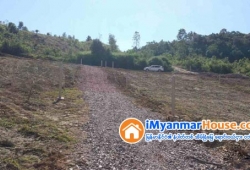 ေျမကြက္ အျမန္ ေရာင္းမည္