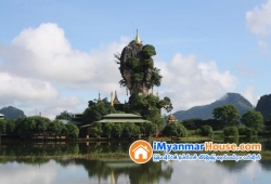 ေျမကြက္ အျမန္ ေရာင္းမည္
