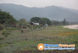 ေျမကြက္ အျမန္ ေရာင္းမည္