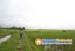 ေျမကြက္ အျမန္ ေရာင္းမည္