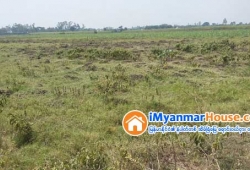 ေျမကြက္ အျမန္ ေရာင္းမည္