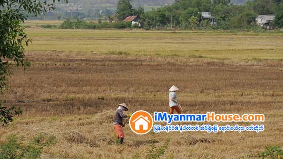 မႏၲေလးၿမိဳ႕ ေျမတန္ဖိုးႏႈန္းထားသတ္မွတ္ခ်က္ ေလၽွာ႕ခ်ျပင္ဆင္ေပးရန္ အစီအစဥ္မရွိေသး - Property News in Myanmar from iMyanmarHouse.com