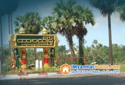 ေျမကြက္ အျမန္ ေရာင္းမည္