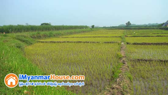 လယ္ေျမကို ေျပာင္းလဲသံုးစြဲမယ္ဆိုရင္ . . . . - Property Knowledge in Myanmar from iMyanmarHouse.com