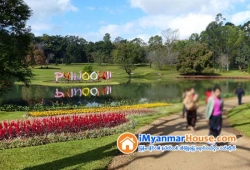 ေျမကြက္ အျမန္ ေရာင္းမည္