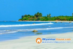 ေျမကြက္ အျမန္ ေရာင္းမည္