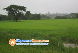 ေျမကြက္ အျမန္ ေရာင္းမည္