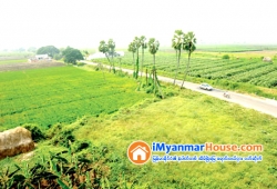 ေျမကြက္ အျမန္ ေရာင္းမည္