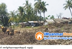 ေျမကြက္ အျမန္ ေရာင္းမည္
