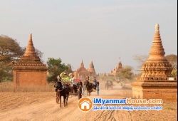 ေျမကြက္ အျမန္ ေရာင္းမည္
