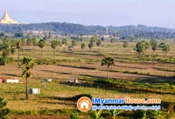 ေျမကြက္ အျမန္ ေရာင္းမည္