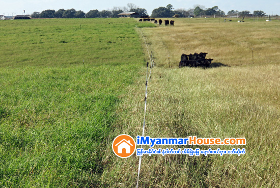 အေမြဆက္ခံပိုင္ဆိုင္ေၾကာင္းေျမပံုေျမရာဇဝင္ကူးယူျခင္း - Property Knowledge in Myanmar from iMyanmarHouse.com