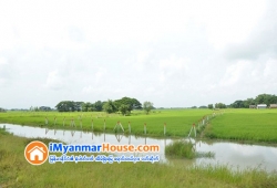 ေျမကြက္ အျမန္ ေရာင္းမည္
