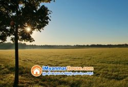 ေျမကြက္ အျမန္ ေရာင္းမည္