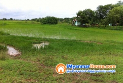 ေျမကြက္ အျမန္ ေရာင္းမည္