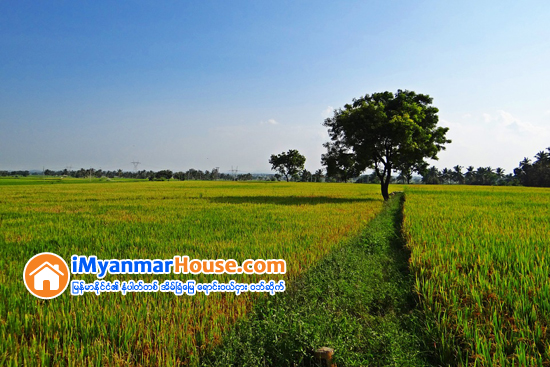 ပါမစ္ေျမ အဝယ္မ်ားေန - Property News in Myanmar from iMyanmarHouse.com