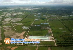 ေျမကြက္ အျမန္ ေရာင္းမည္