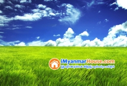 ေျမကြက္ အျမန္ ေရာင္းမည္