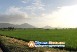 ေျမကြက္ အျမန္ ေရာင္းမည္