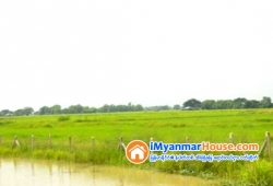 ေျမကြက္ အျမန္ ေရာင္းမည္