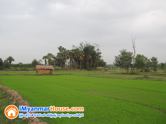 ေျမငွားဂရန္မိတၱဴနဲ႔ အေရာင္းအဝယ္လုပ္ရင္ သတိထားပါ - Property Knowledge in Myanmar from iMyanmarHouse.com