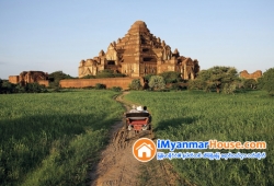 ေျမကြက္ အျမန္ ေရာင္းမည္