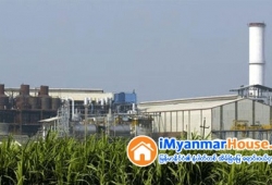 ေျမကြက္ အျမန္ ေရာင္းမည္