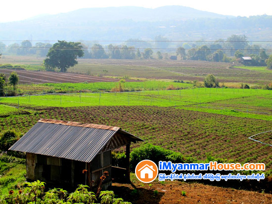 ျပင္ဦးလြင္ျခံေျမမ်ား ေရာင္းအားသြက္လ်က္ရွိ - Property News in Myanmar from iMyanmarHouse.com