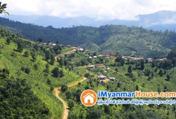 ေျမကြက္ အျမန္ ေရာင္းမည္
