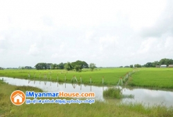 ေျမကြက္ အျမန္ ေရာင္းမည္
